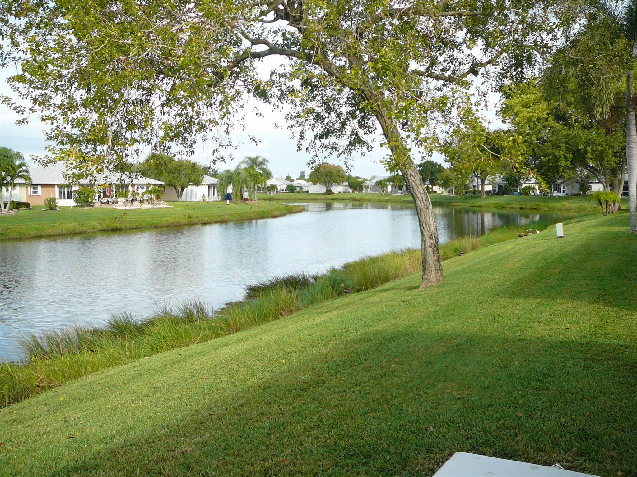 PALM GROVE SUBDIVISION - Residential