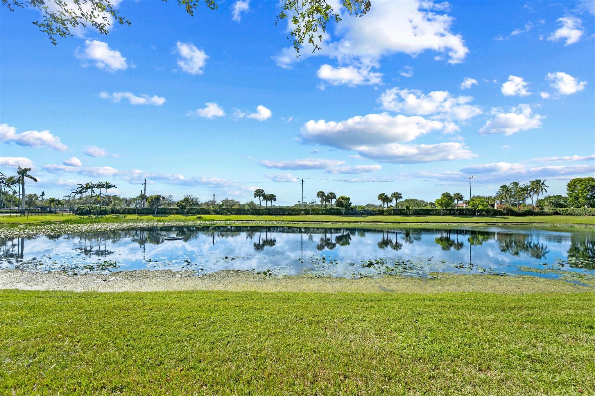 VERONA PALMS - Residential Lease