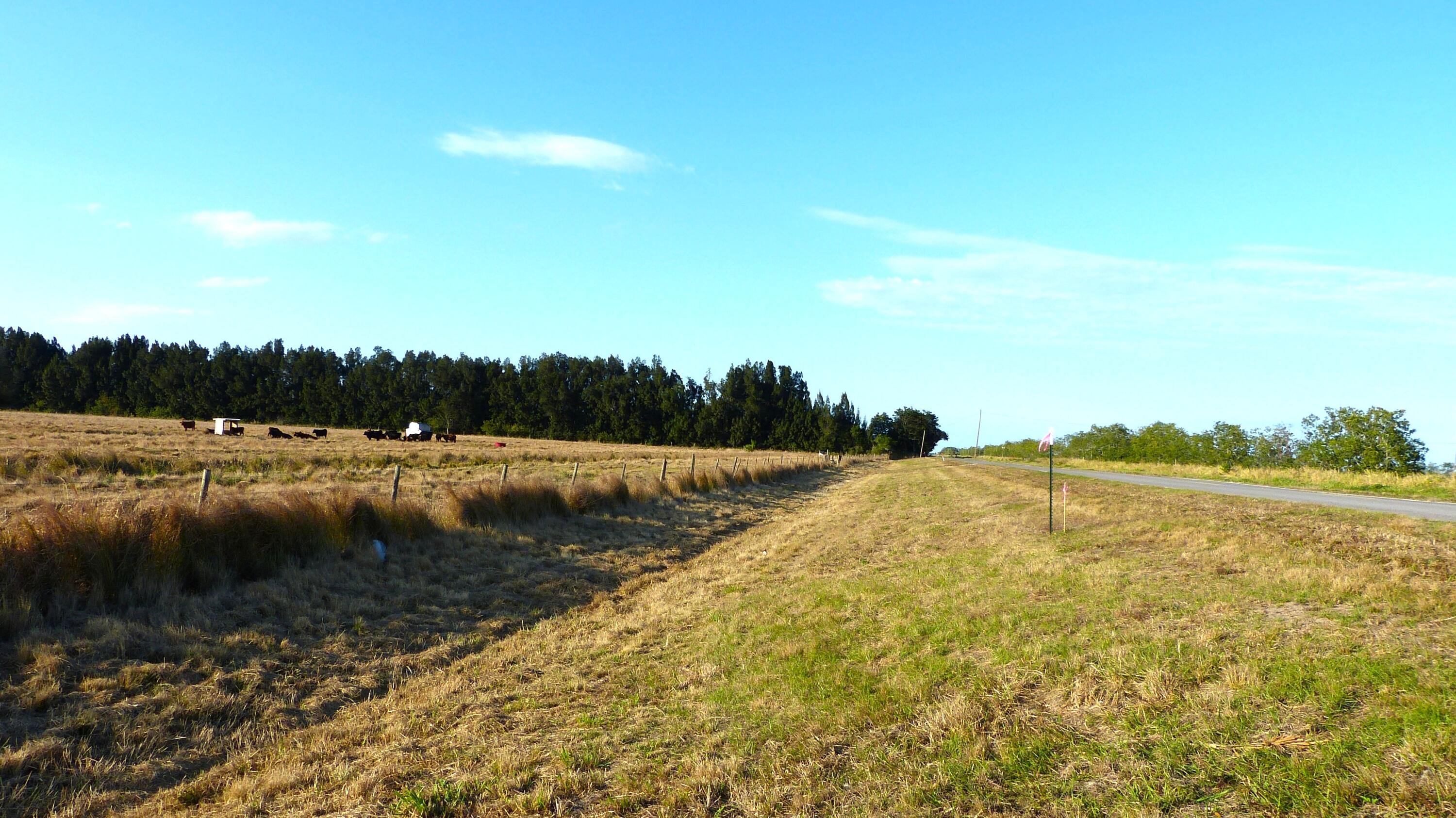 Tbd S Header Canal Road