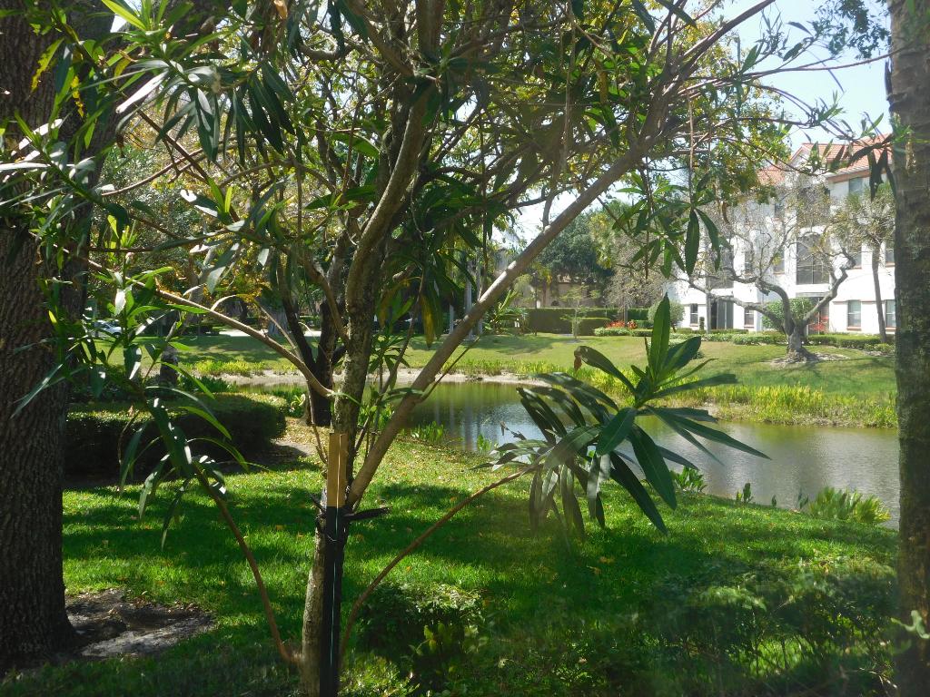 PLATINA / ILLUSTRE VILLAGE CONDO - Residential