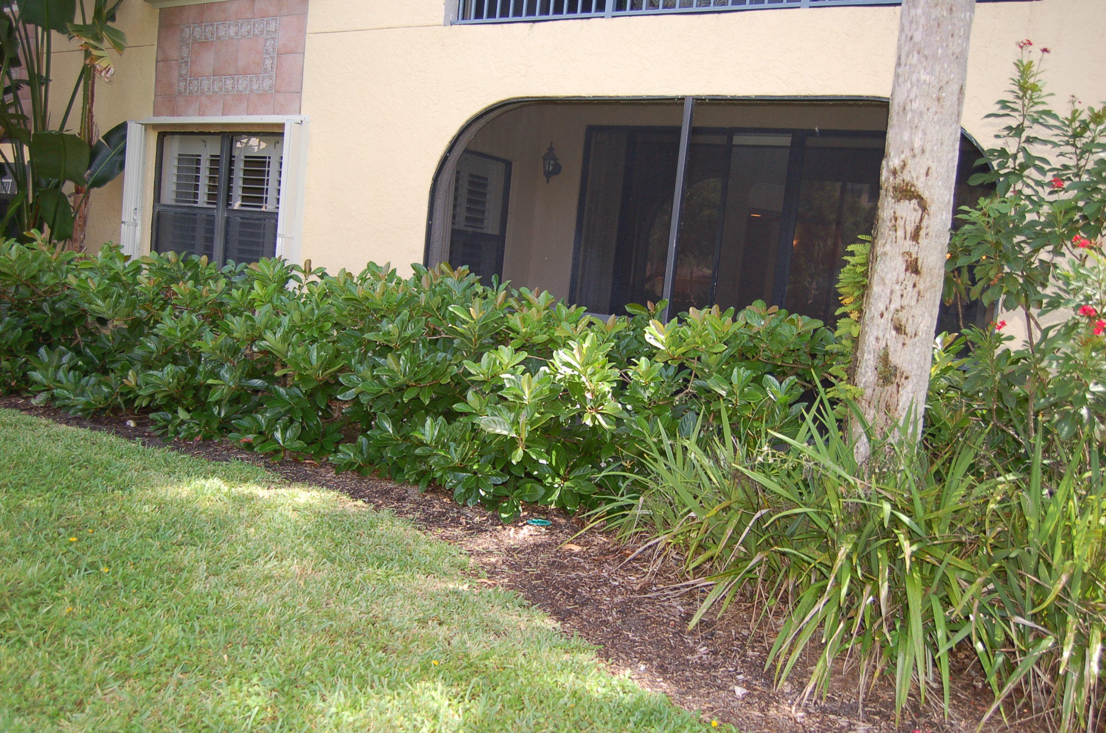 OCEAN TRACE CONDO - Residential