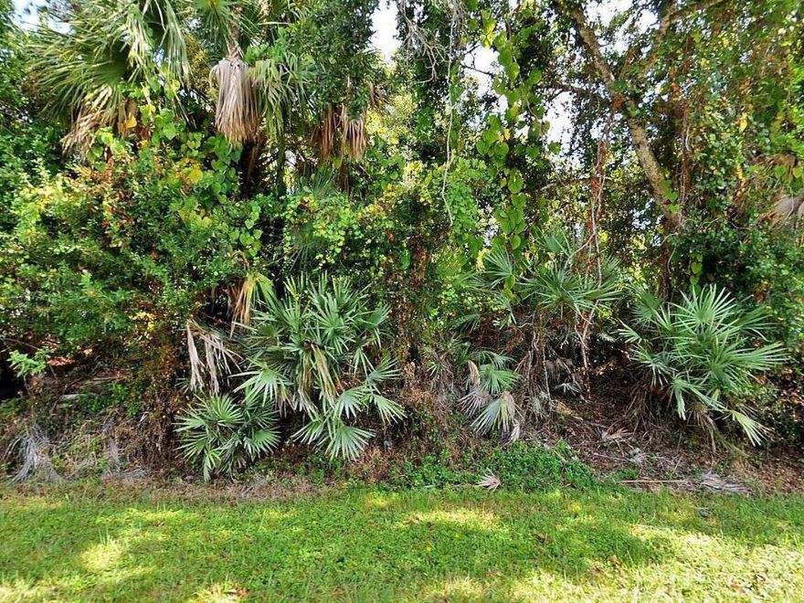 Great building lot east of US 1 in nice neighborhood of Indian River Estates. Centrally located, easy access to beaches and shopping.