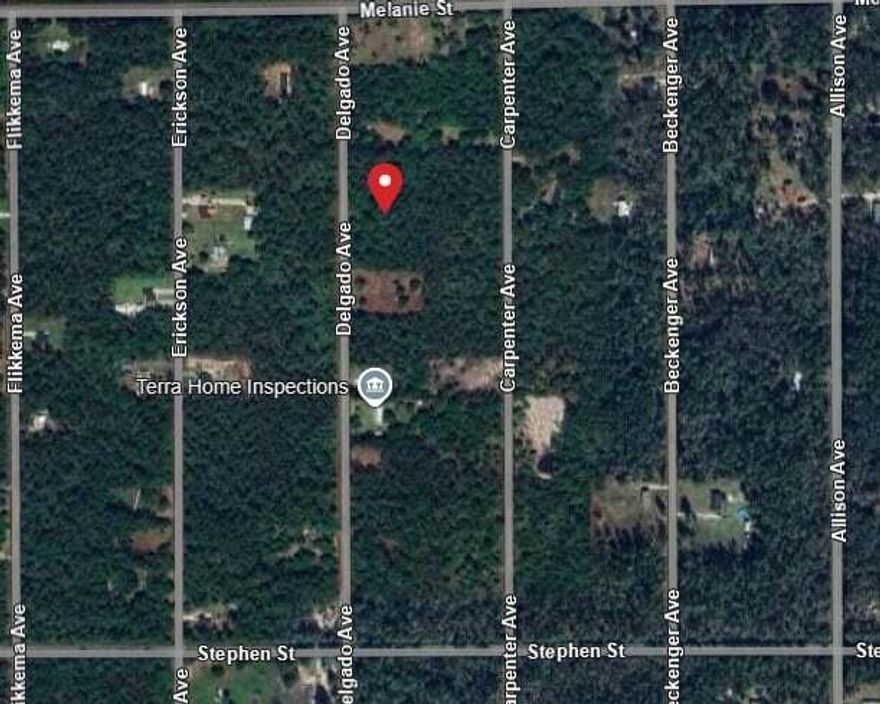 Don't miss this incredible opportunity to own a spacious 49,658 sq ft (1.14-acre) wooded residential lot in the desirable Flagler Estates community of St. Johns County. Tucked away in a peaceful, rural setting with no HOA and outside the flood zone, this property offers the freedom to create the lifestyle you've always wanted. Whether you're planning to build a site-built home, modular, or manufactured home, this lot gives you the flexibility to make it your own. Farm animals are welcome, too--perfect for those looking to start a homestead or enjoy a little extra space. Enjoy nearby outdoor adventures at Deep Creek, the St. Johns River, and historic St. Augustine, all just a short drive away. With only 60 minutes to Jacksonville and 90 minutes to Orlando, this location offers the