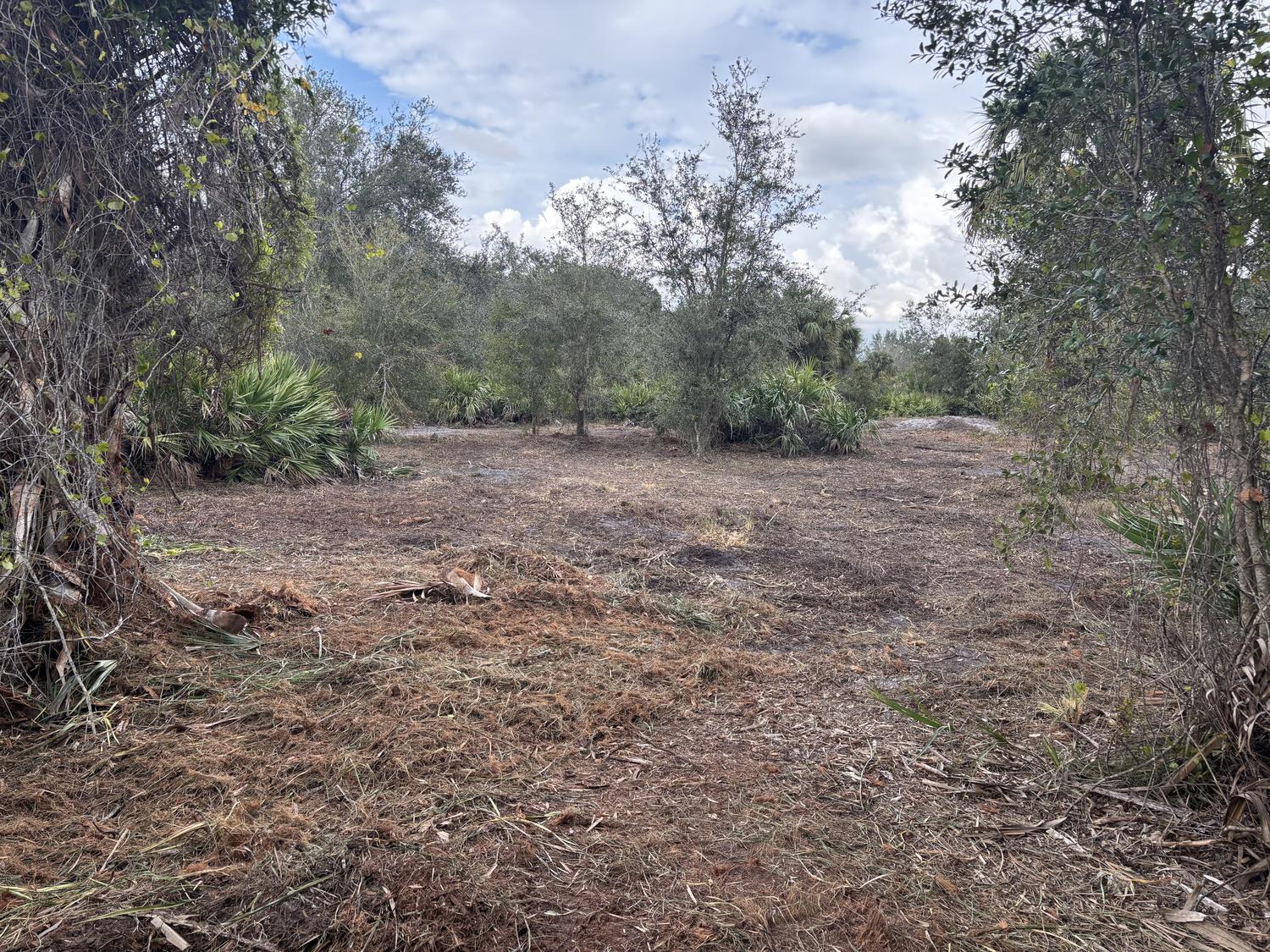 VK2965 The Viking Estates - Land