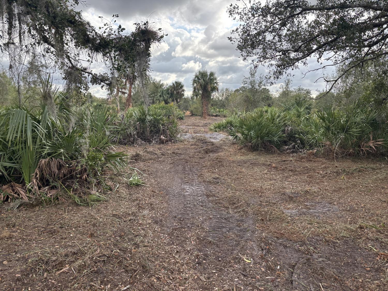 VK2965 The Viking Estates - Land