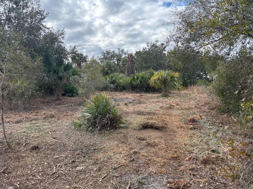 Amazing oaks on this Viking Estates property. Dry year round. Great spot for your small agricultural operation, camp, or shooting range.  Owner financing available