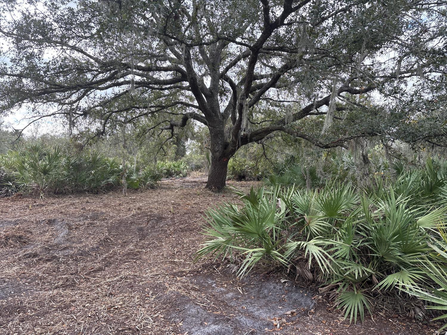 VK2965 The Viking Estates - Land