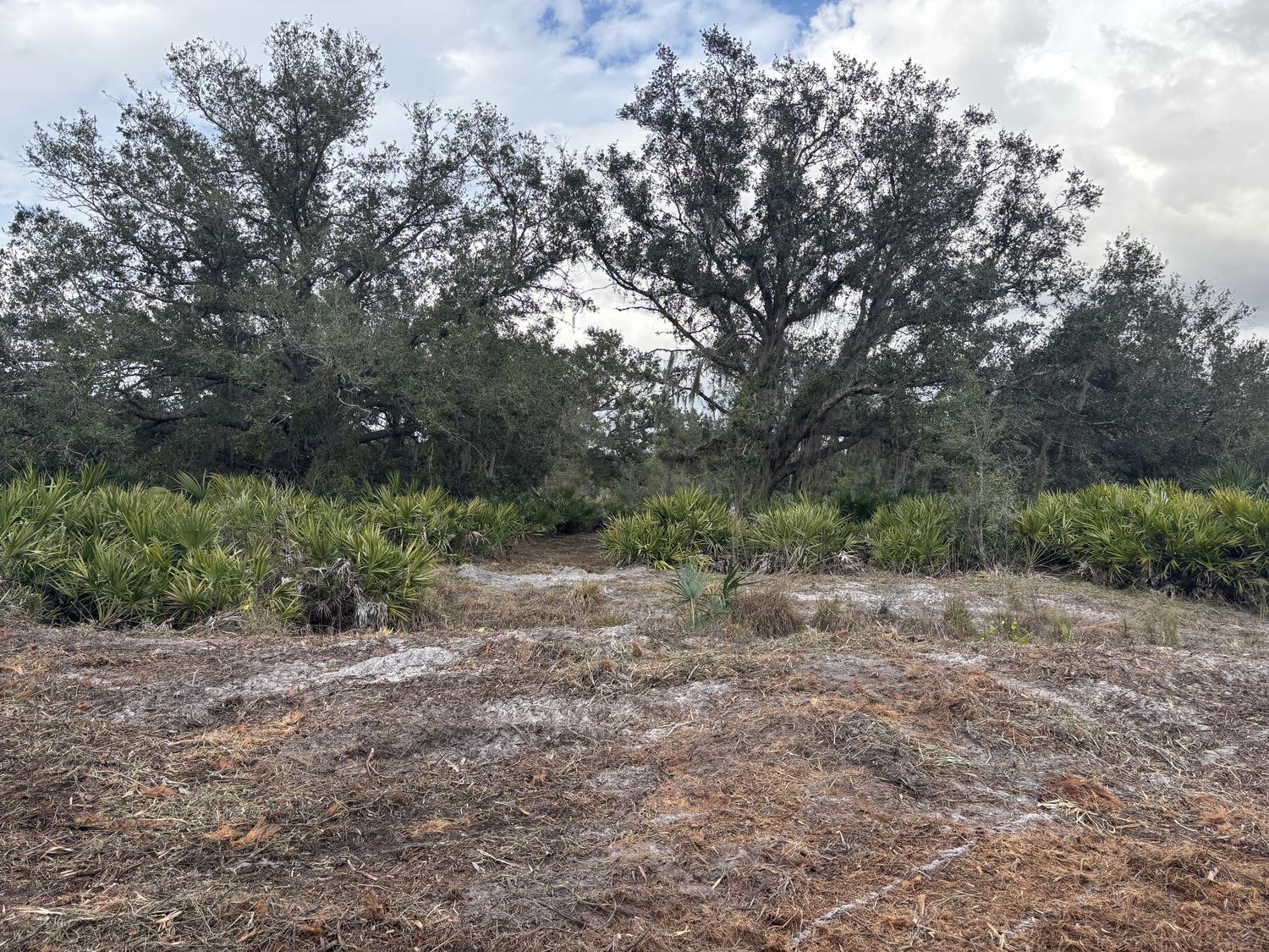 VK2965 The Viking Estates - Land