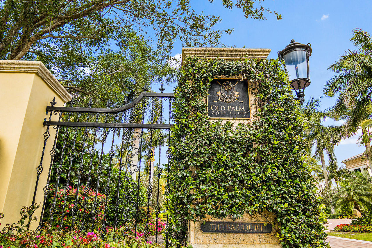 Old Palm - Residential