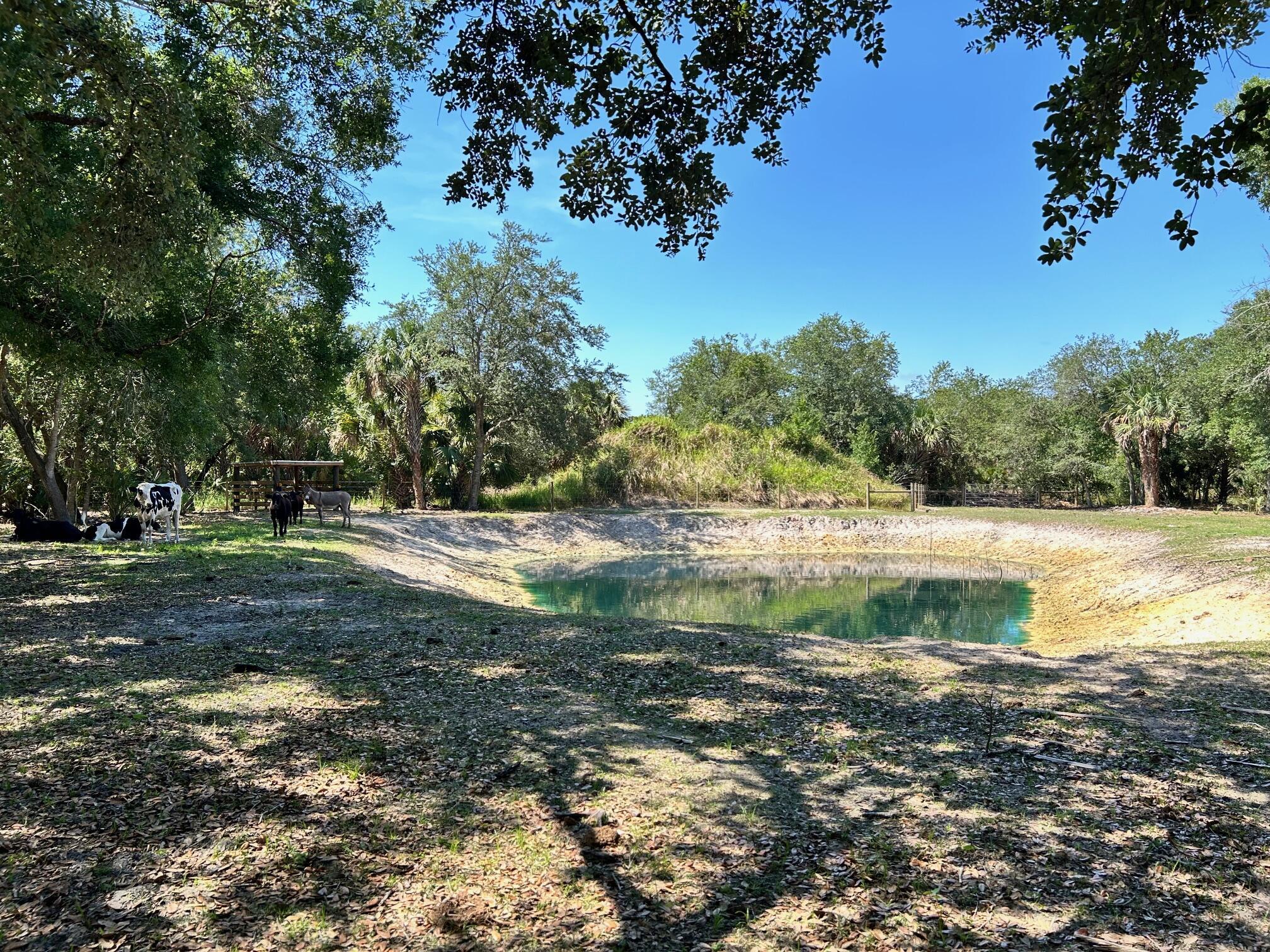 0000 SW Arrowroot Street, Indiantown, FL, 34956/$550,000 4 0000 SW Arrowroot Street