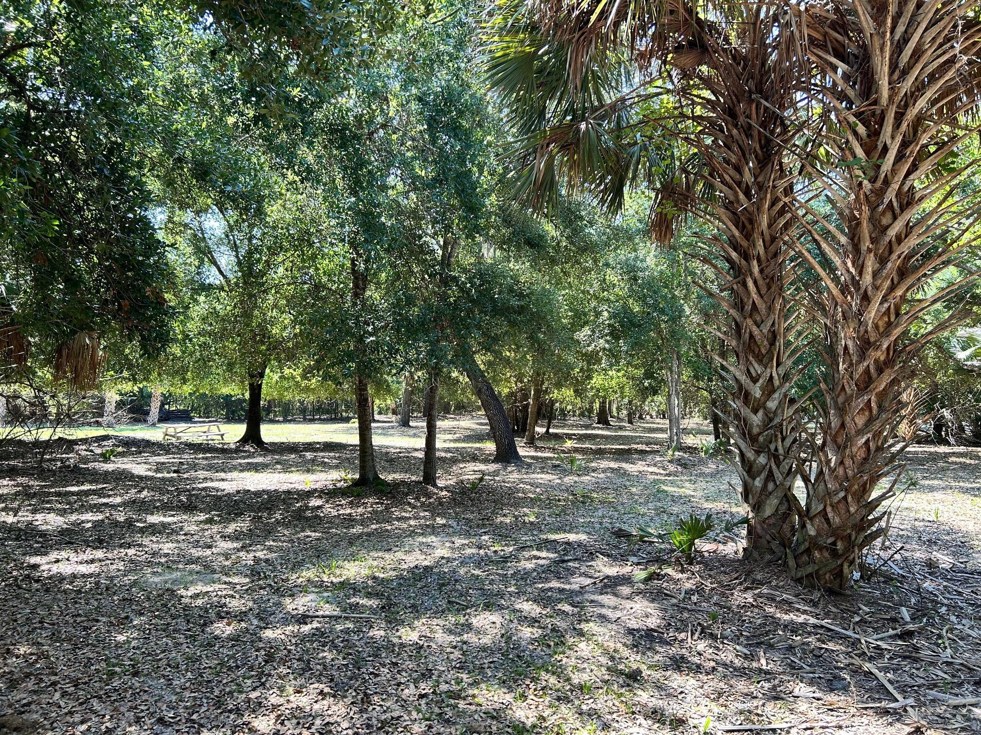 SUNSET GROVES UNREC - Land