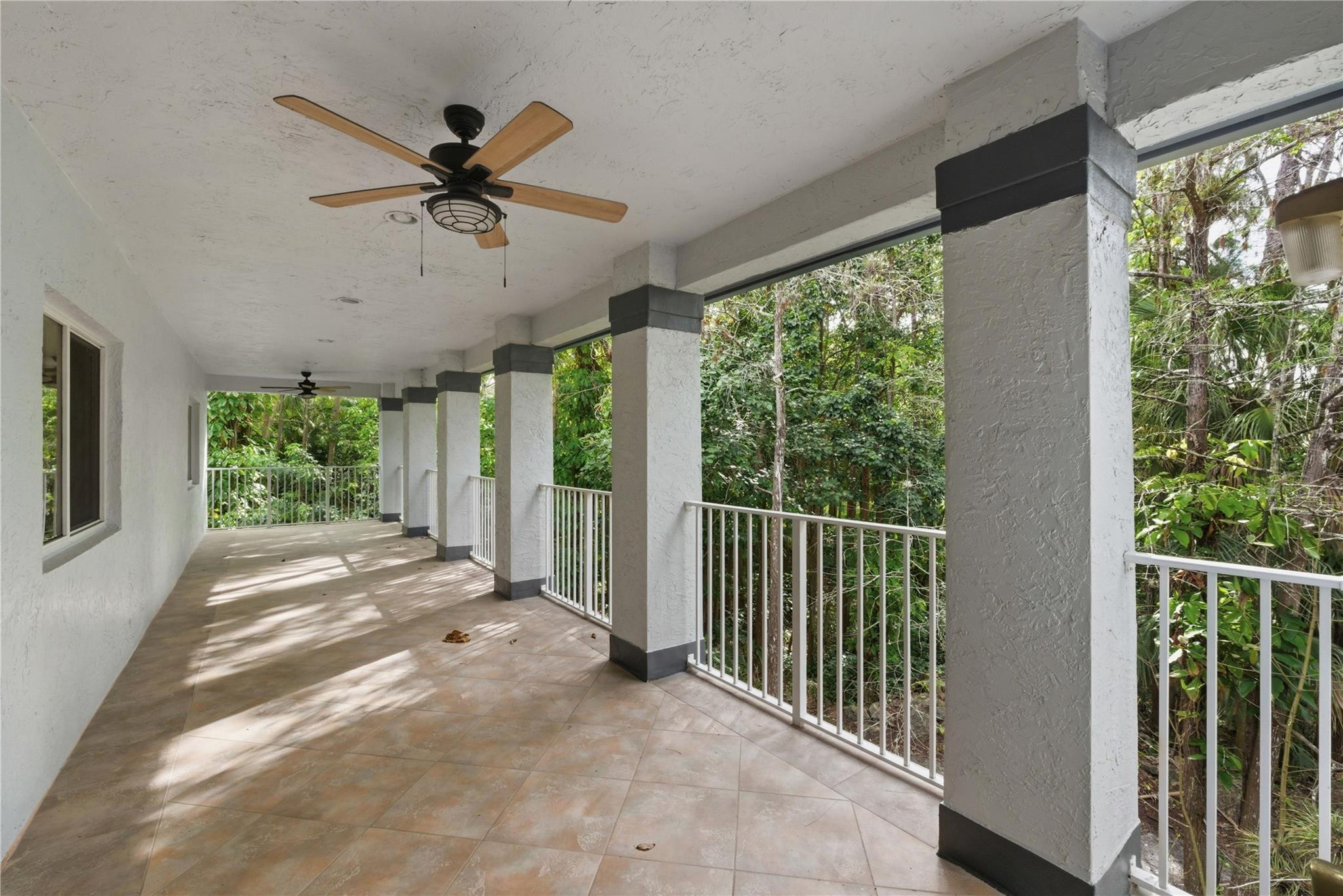 Pine Tree Estates - Residential