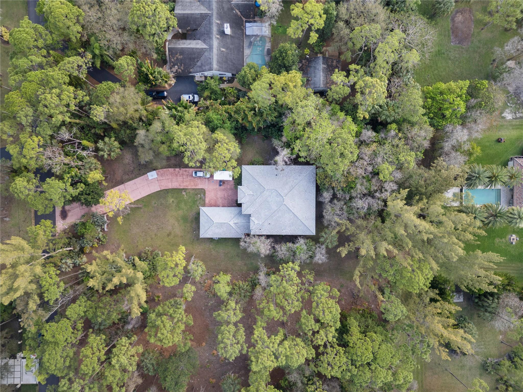 Pine Tree Estates - Residential