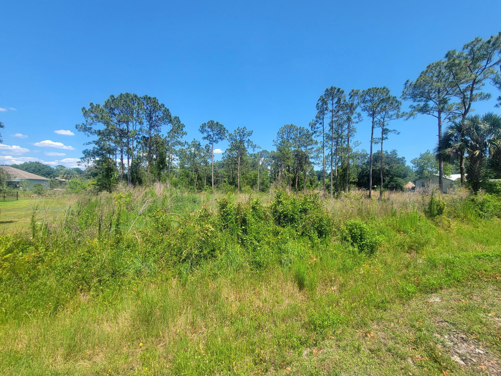 Great buildable lot in the Basswood neighborhood. Minutes from schools, hospital and shopping. Call for more details.