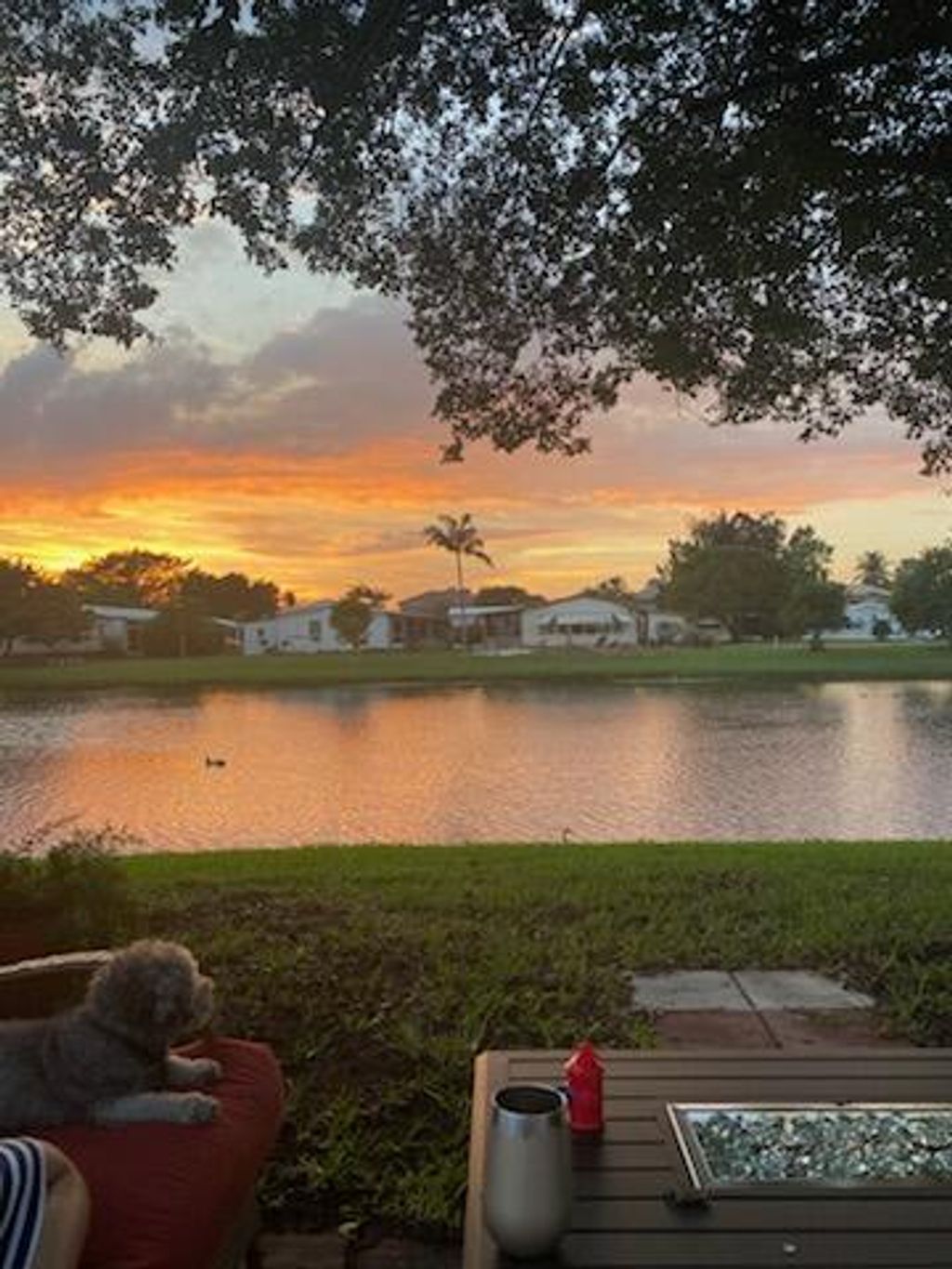 Photo of 676 Sunny South Avenue #676, Boynton Beach, FL 33436 (MLS # R10975254)