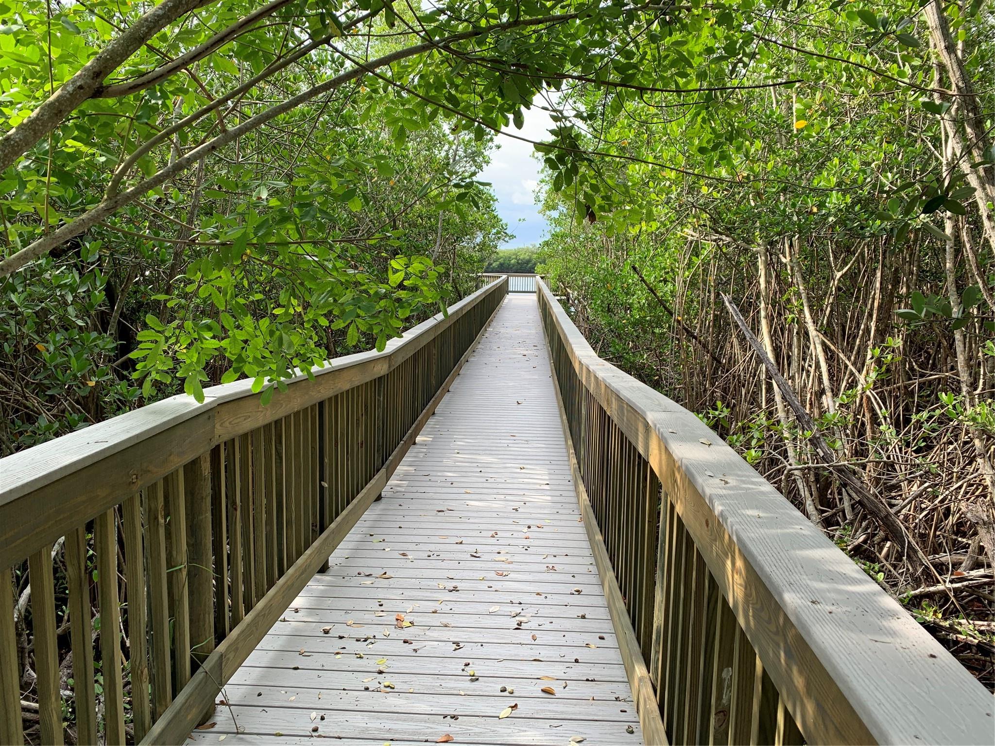 ORCHID COVE - Residential