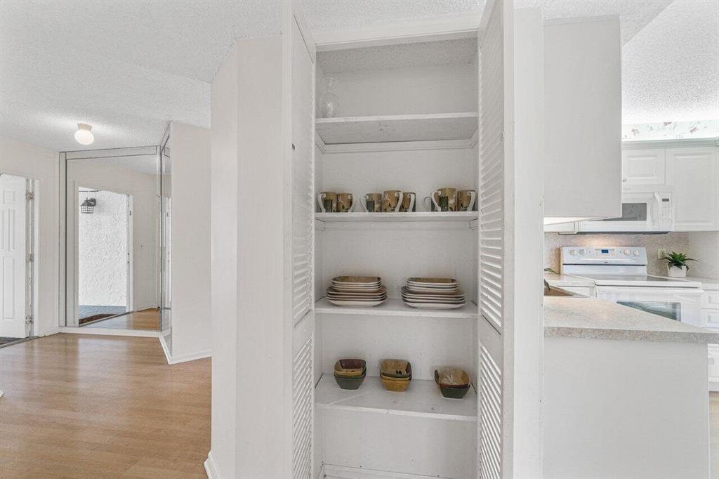 BANYAN SPRINGS - Residential