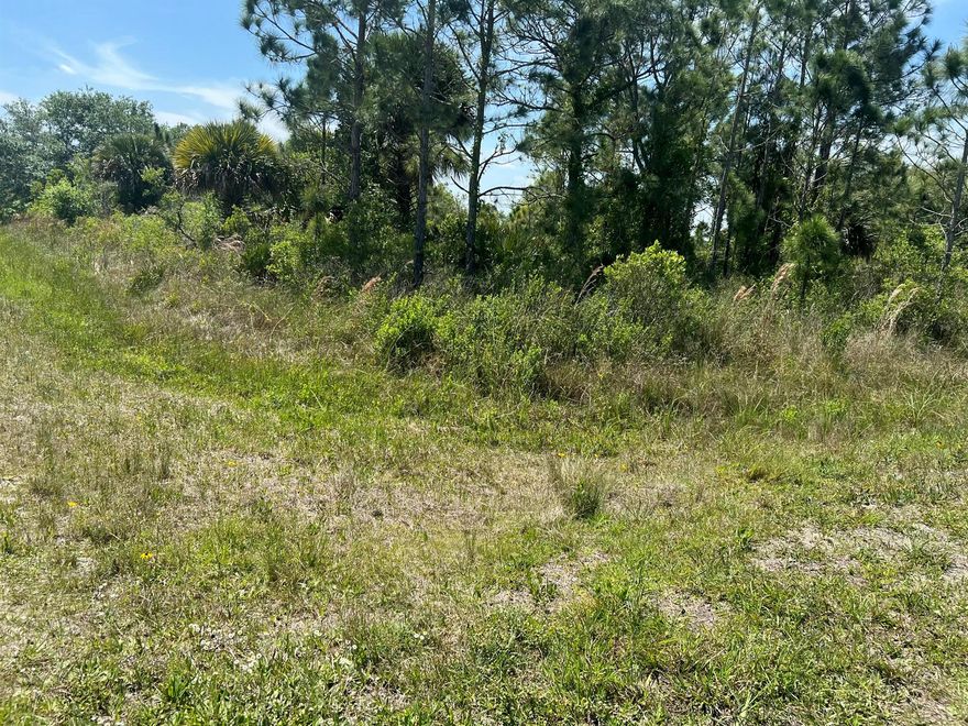 Perfect property to build your brand new home on this one and a half acre preserve lot. Corner lot and ready to be yours today