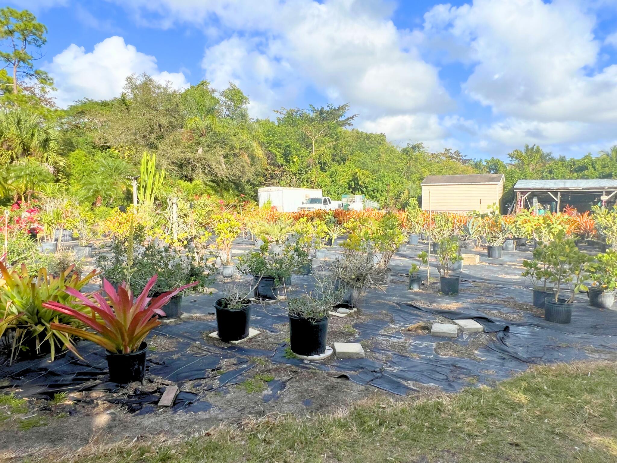 PALM BEACH FARMS - Land