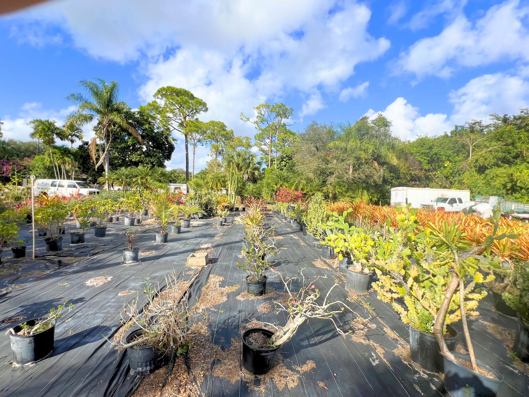 PALM BEACH FARMS - Land