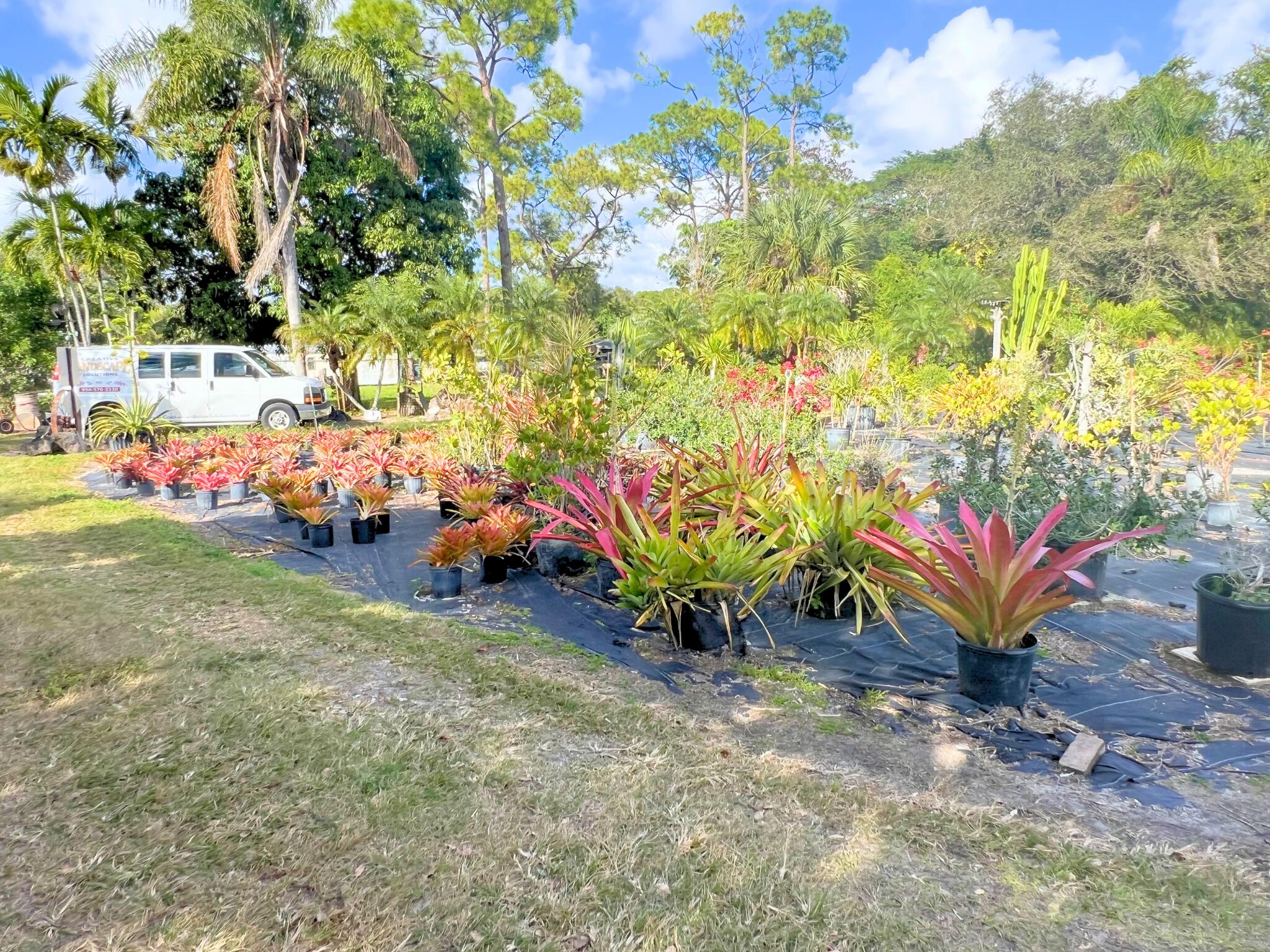 PALM BEACH FARMS - Land