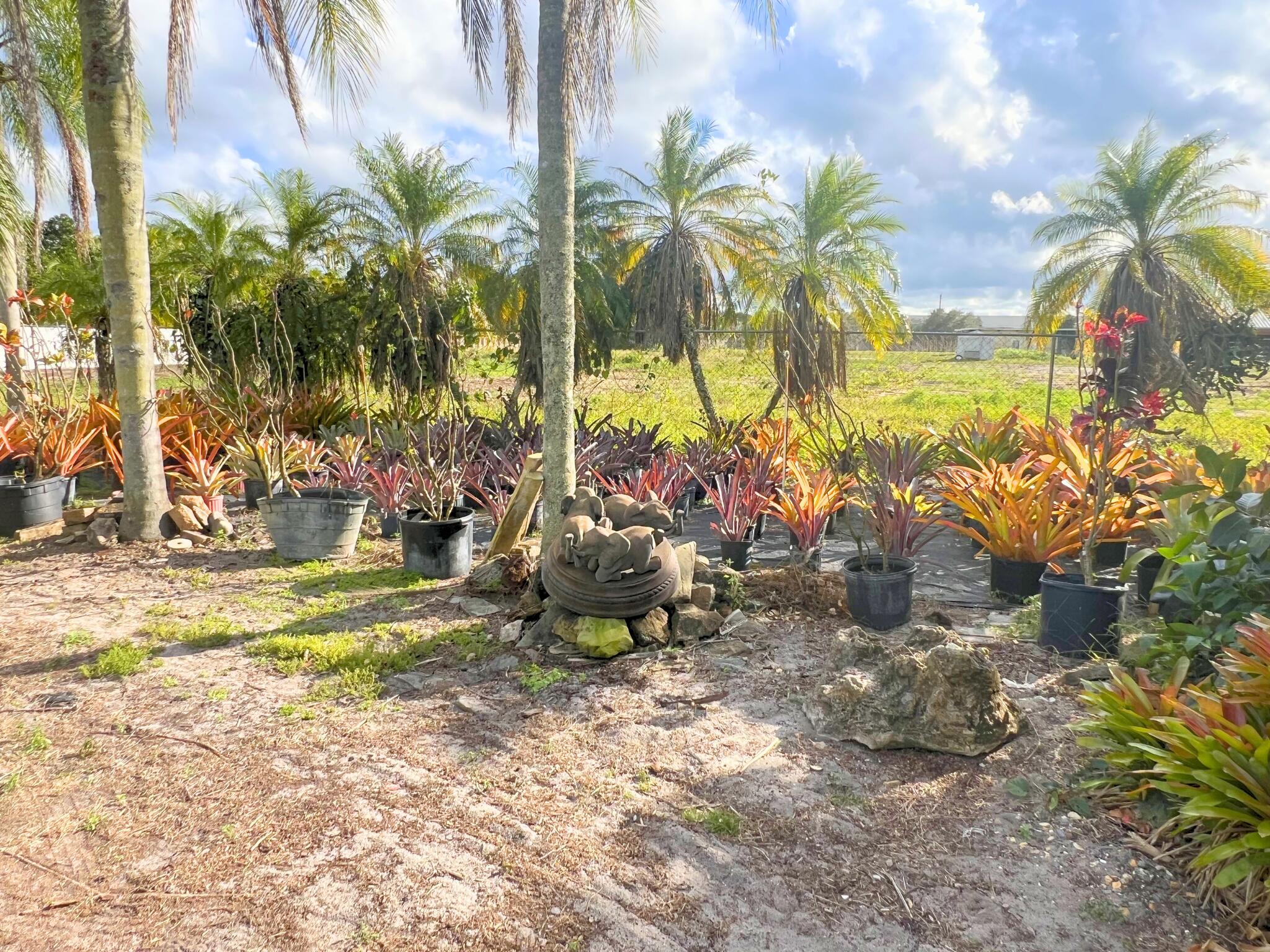 PALM BEACH FARMS - Land