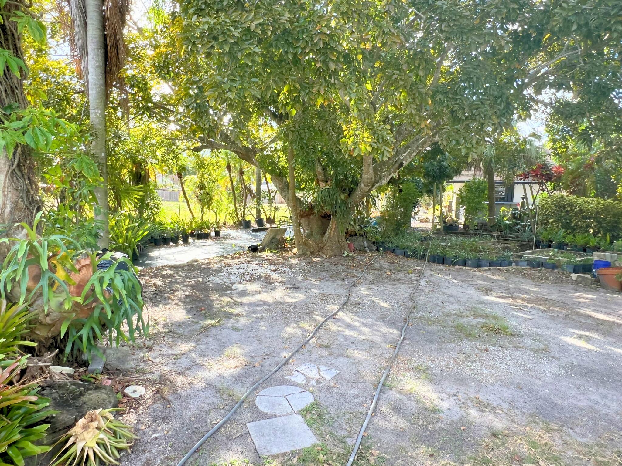 PALM BEACH FARMS - Land