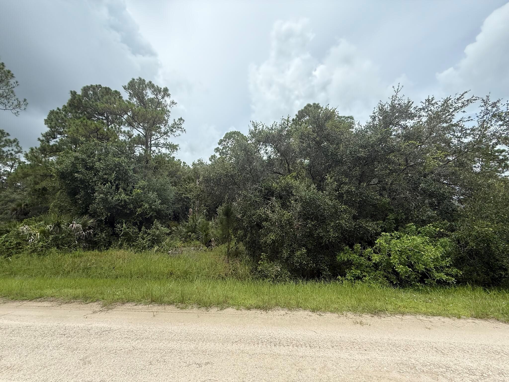 Welcome to Montura Ranch Estates! This 1.25-acre vacant lot offers the perfect blend of seclusion and opportunity. Situated on a county-maintained road, this wooded parcel provides privacy, natural beauty, and plenty of space for your dream home, manufactured home, or weekend retreat. No HOA--bring your ATVs, boats, and animals and enjoy the freedom of country living. Conveniently located just outside of Clewiston, Montura Ranch Estates features its own clubhouse, community pool, and recreational amenities, making it a great choice for both full-time residents and vacationers. Don't miss the chance to own this beautiful lot in a growing community--build now or hold as a smart long-term investment!
