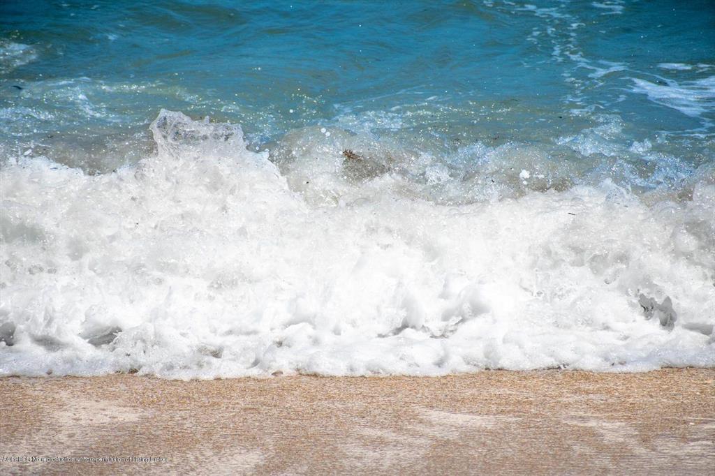 SLOANS CURVE II NORTH BUI - Residential