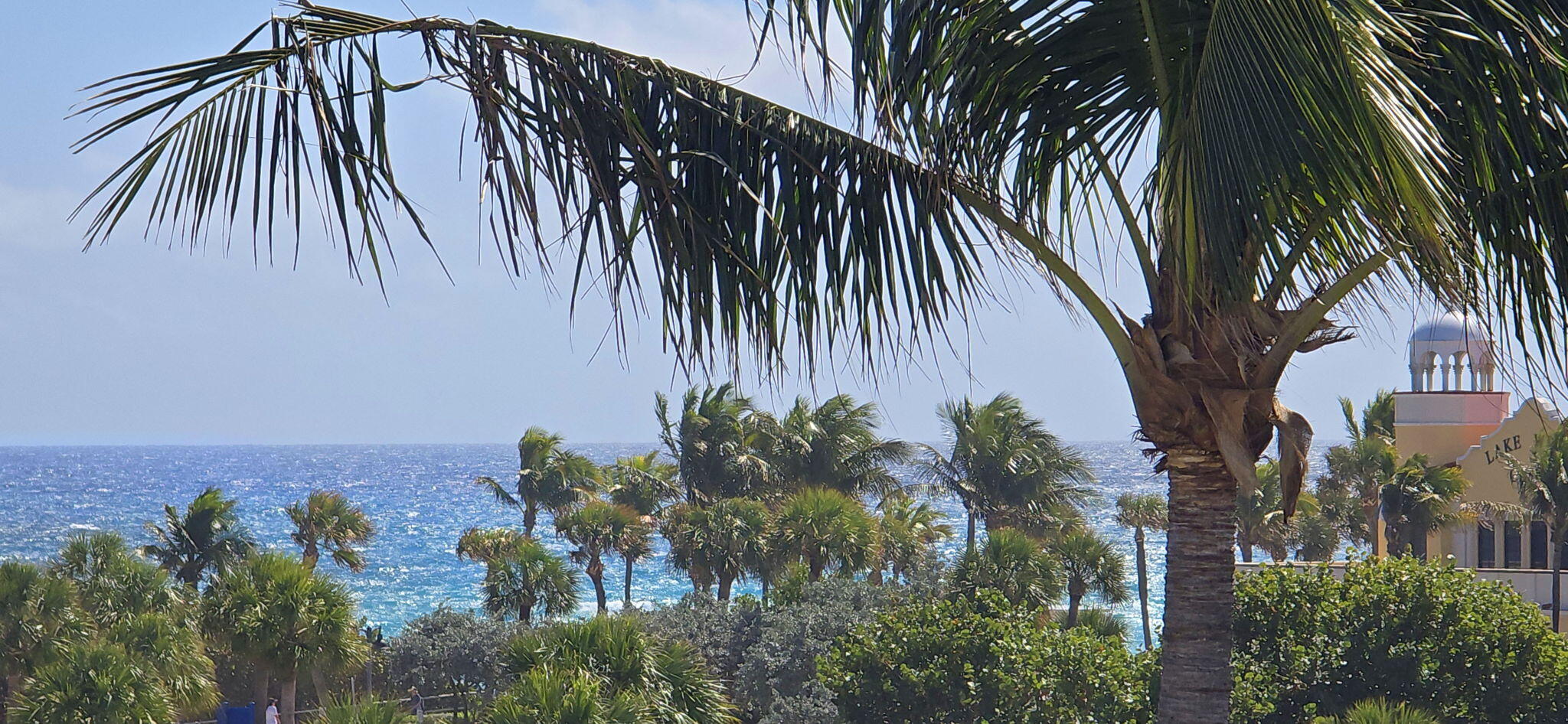 LA PALMA CONDO - Residential