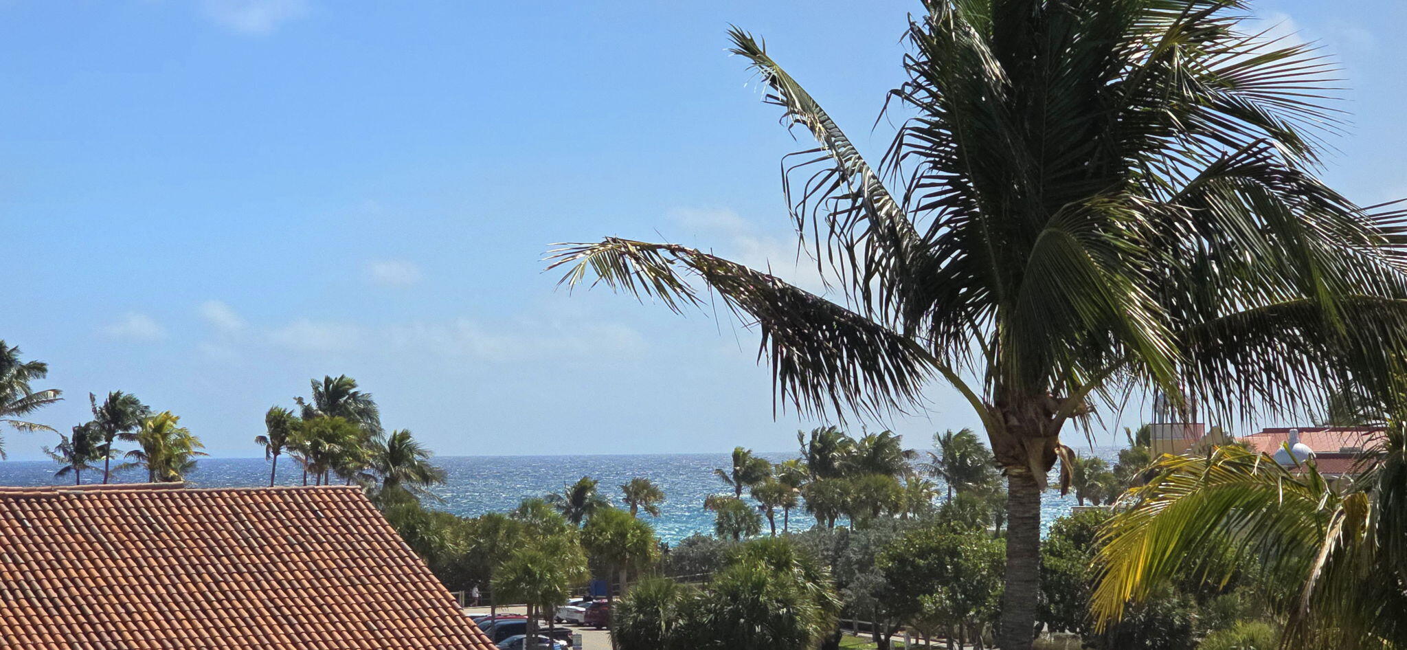 LA PALMA CONDO - Residential