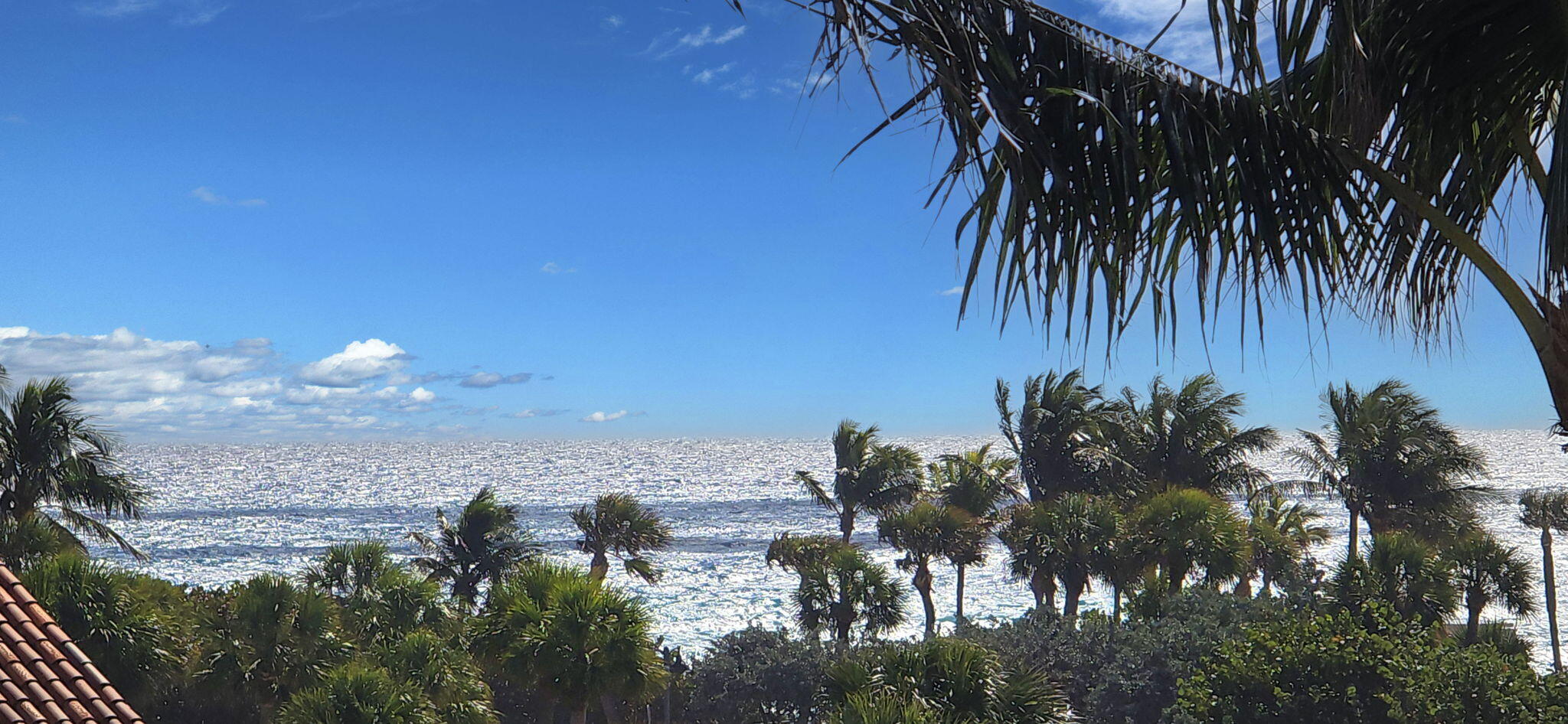 LA PALMA CONDO - Residential