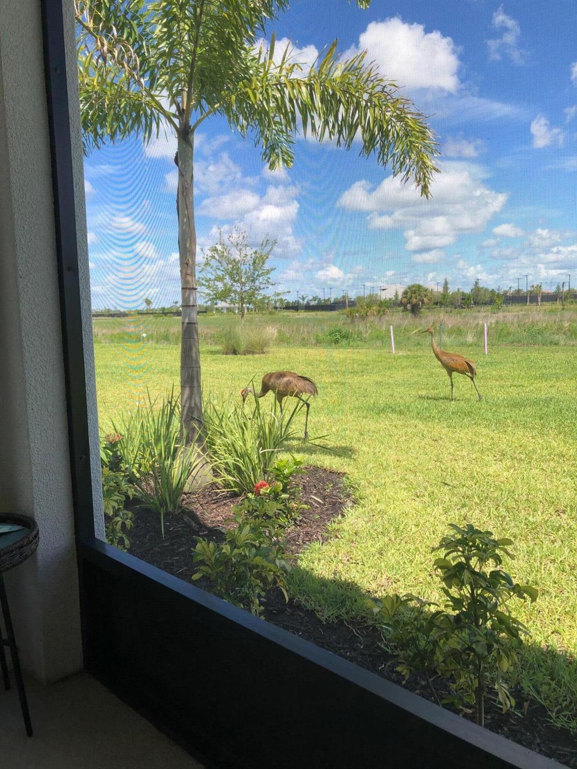 ESPLANADE AT TRADITION - Residential