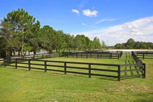 Palm Beach Point - Residential