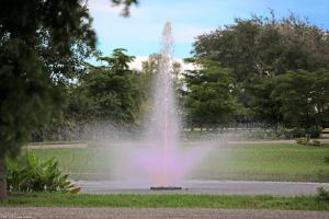 Palm Beach Point - Residential