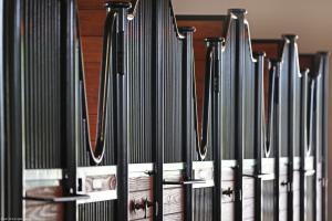 Palm Beach Point - Residential