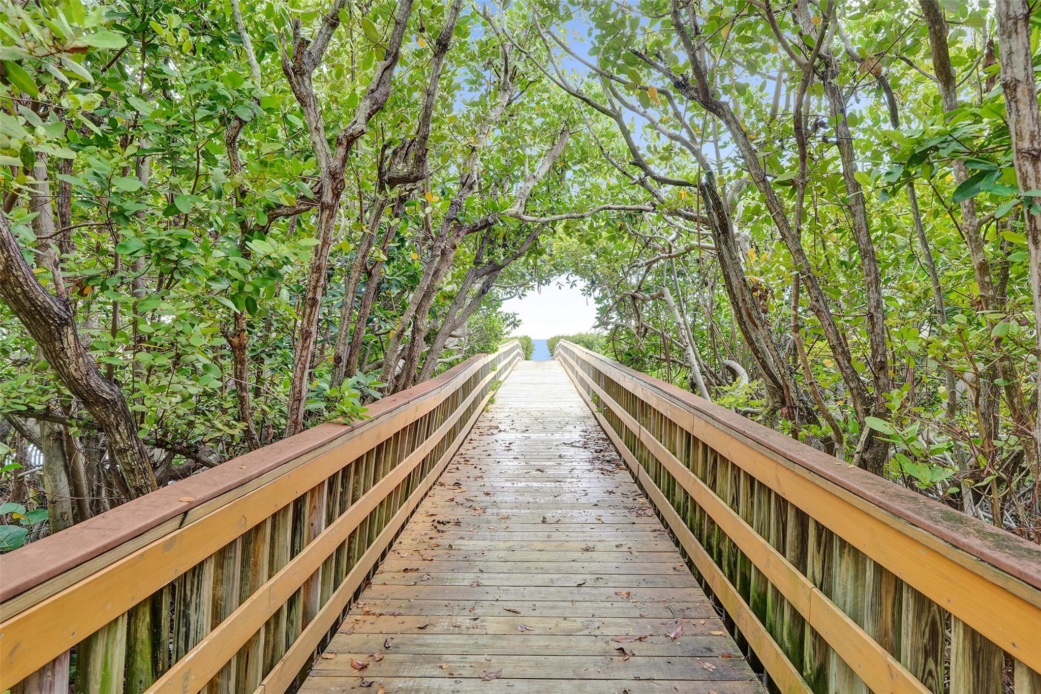 Hillsboro Bay By The Sea - Residential
