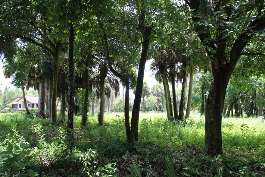 INVESTMENT OPPURTUNITY. 5.22 ACRES. HIGH AND DRY IN DESRIABLE EQUESTRIAN NEIGHBORHOOD. FULLY FENCED AND PARTIAL CLEARED. NEXT DOOR LOT JUST SOLD! BUILDING COVERED ARENA, HOUSE AND FARM BY IDA. GET INTO NEIGHBOORHOOD WHILE YOU CAN! 29 ACRES OF RIDING TRAILS AND 20 MINTUES TO WEF! This is your opportunity to get into a growing equestrian community before it's fully built out.