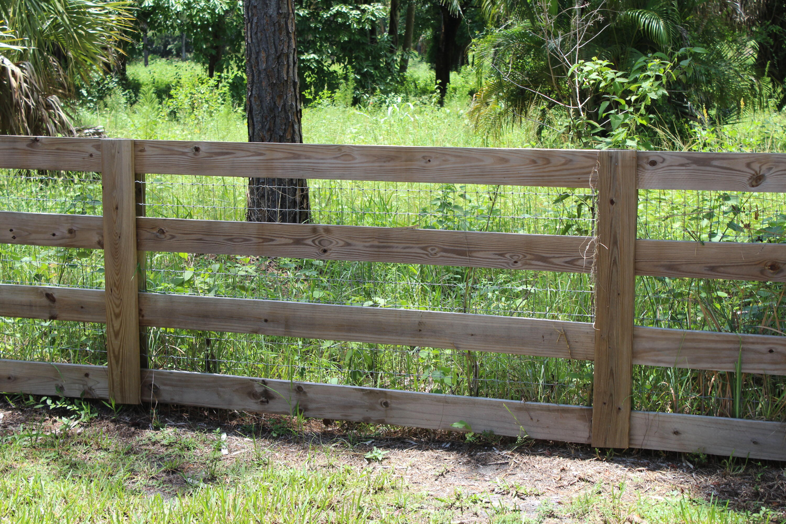 FOX TRAIL - Land