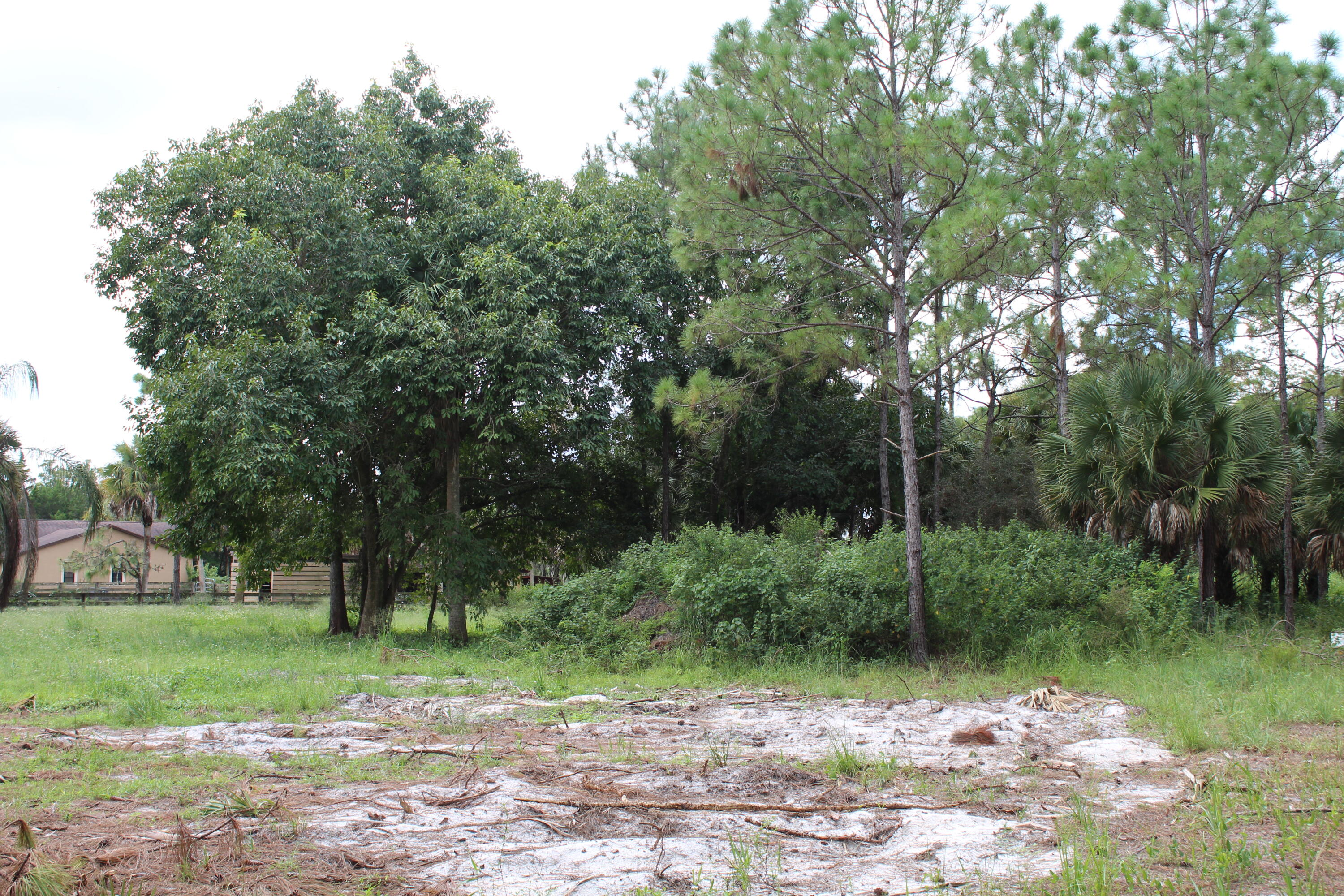 FOX TRAIL - Land