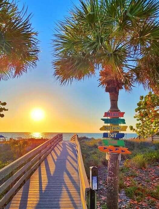 Sheffield Q - Residential Lease