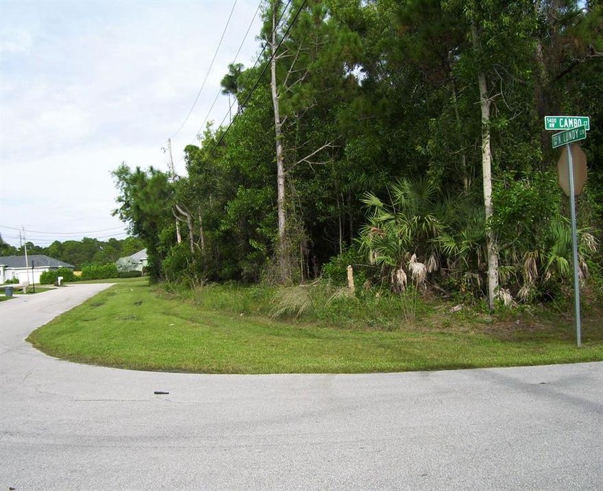 Excellent corner lot in Torino waiting for your new home to be built. Located in a nice smaller & quiet NW Torino Area. 
Buyer to verify any/all information.