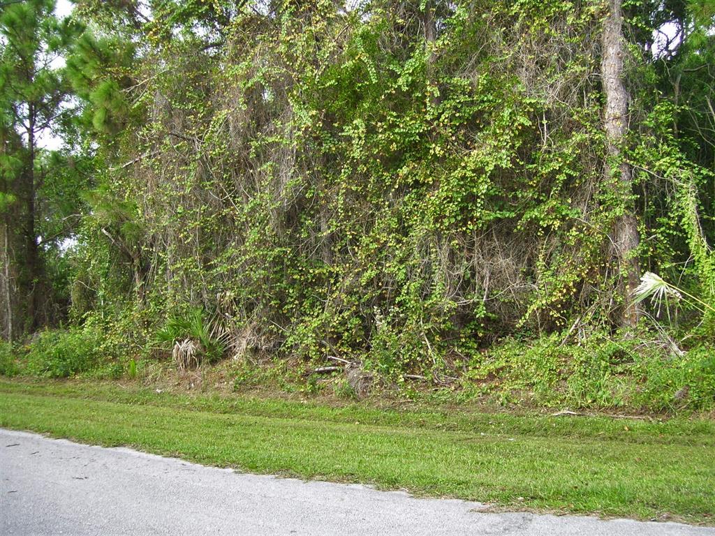PORT ST LUCIE SECTION 47 - Land