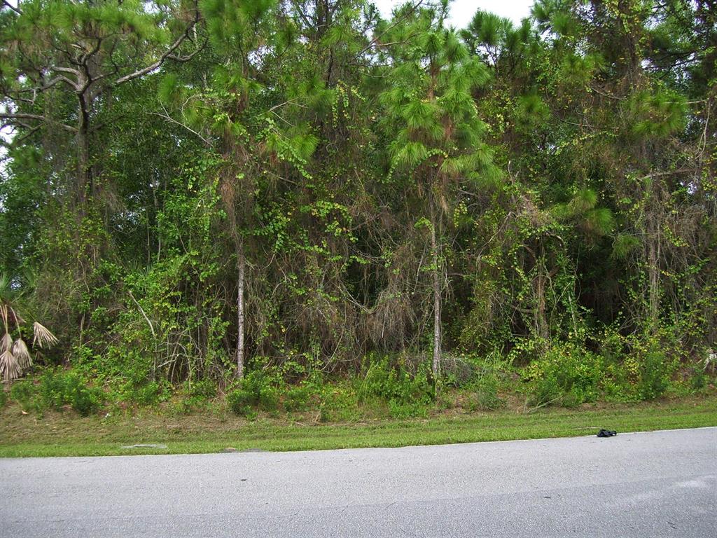 PORT ST LUCIE SECTION 47 - Land