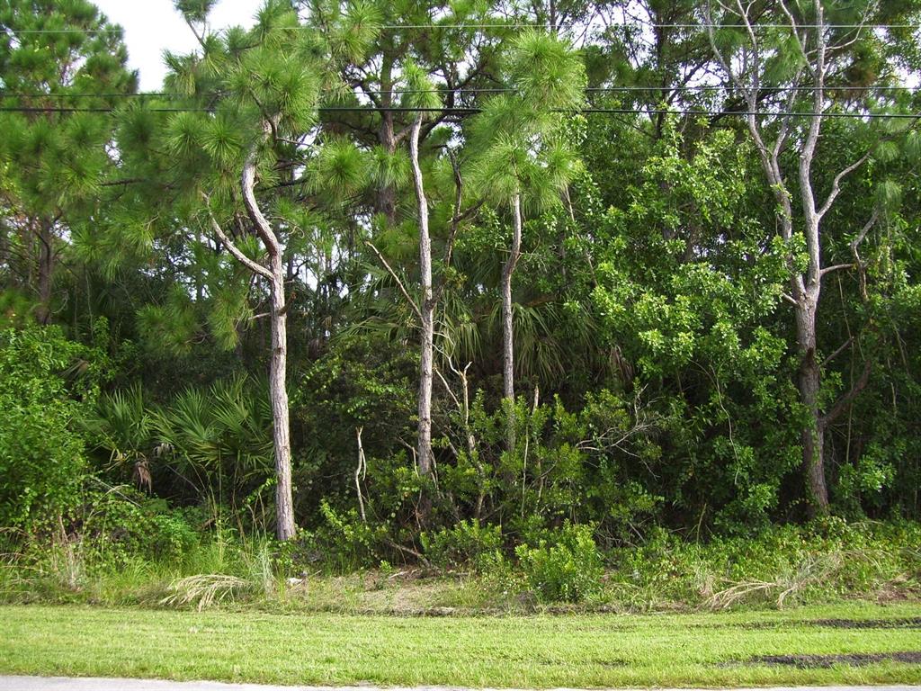 PORT ST LUCIE SECTION 47 - Land