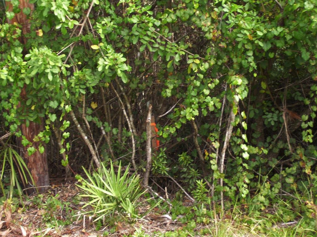 PORT ST LUCIE SECTION 47 - Land