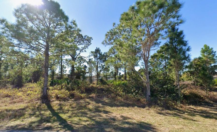 Build your dream home on this attractive 0.23-acre vacant lot in a quiet and steadily developing area of Lehigh Acres. Surrounded by newer homes and peaceful streets, this property offers a great opportunity for a future residence or long-term investment. The location provides quick access to SR-82, shopping, schools, and everyday conveniences while still maintaining a private, residential feel. With no HOA or deed restrictions, you have the freedom to design the home and lifestyle you envision. This growing corridor continues to see strong demand, making 1024 Arbordale St an excellent choice for builders, buyers, or investors looking for a well-positioned lot in a thriving community.