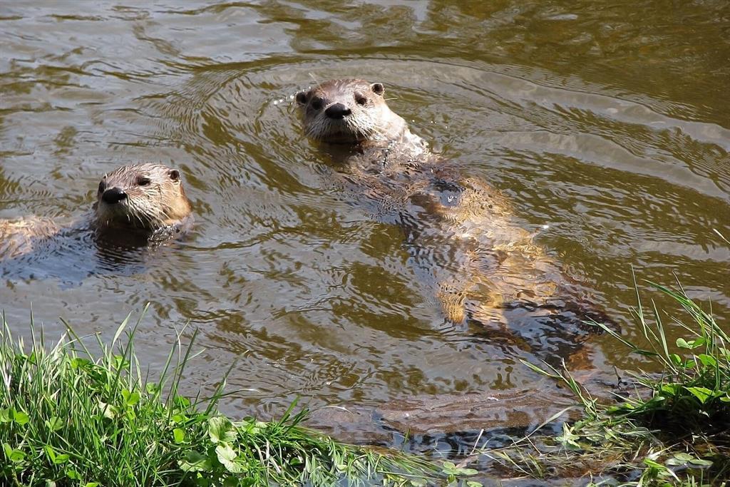 TEQUESTA COUNTRY CLUB - Residential