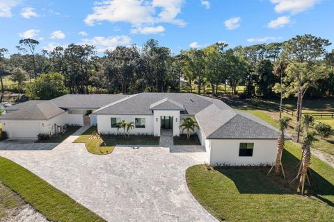 12356 Sandy Run Jupiter FL 33478