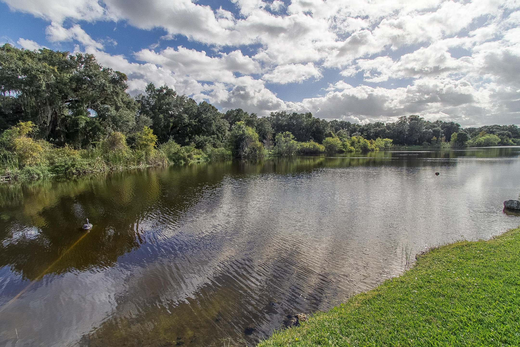 FOREST RIDGE - Residential
